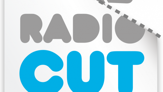 imagen TODAS LAS RADIOS EN UNA RADIO 