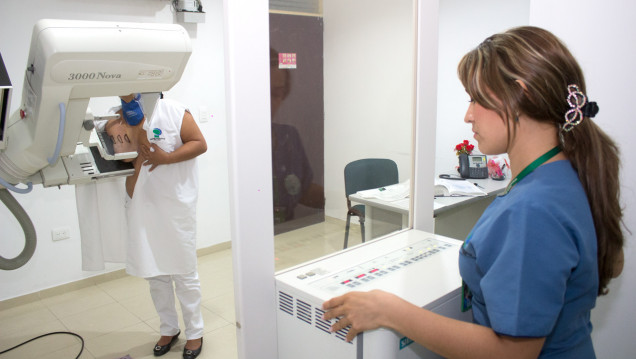 imagen En Mendoza mueren 250 mujeres al año por cáncer de mama