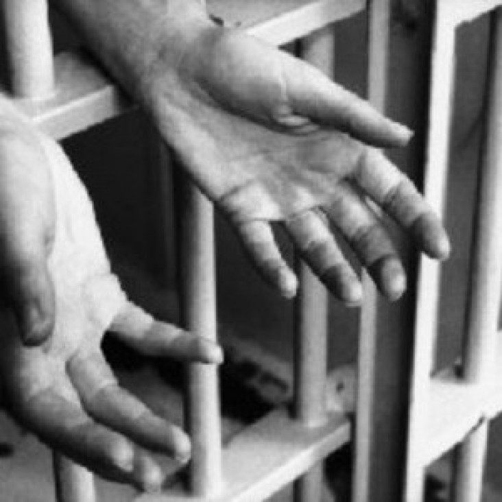 imagen Agencia para la Libertad: visibilizar la violencia institucional