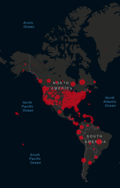 imagen Pandemia: veintitrés voces de América