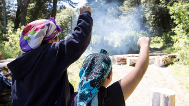 imagen Discursos de odio contra la comunidad mapuche: denuncias y preocupación