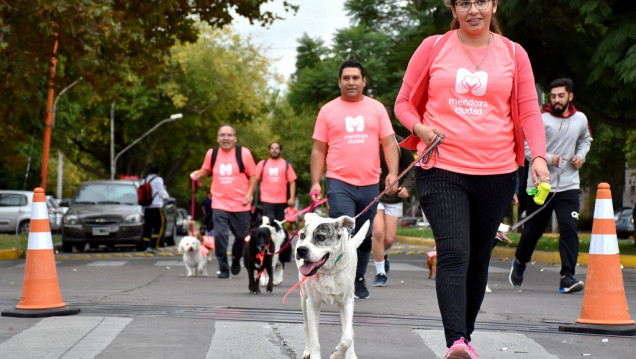 imagen Día del Animal: Ciudad de Mendoza invita a la "Maratón Animal 2022"