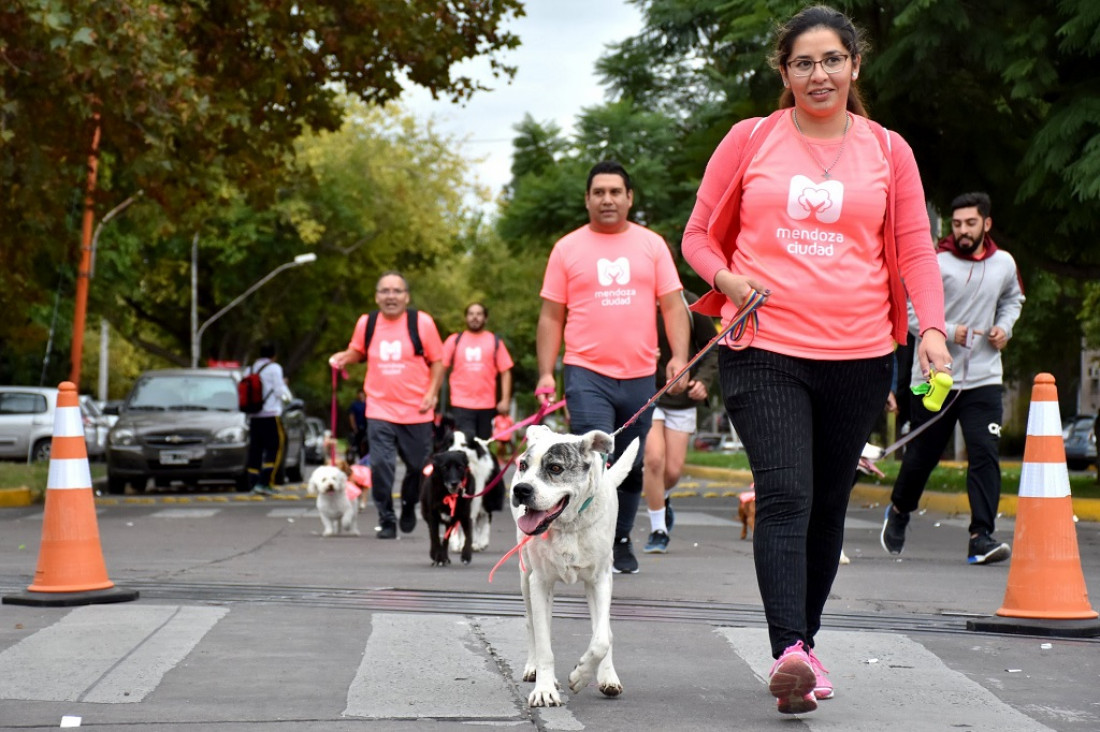 imagen Día del Animal: Ciudad de Mendoza invita a la "Maratón Animal 2022"