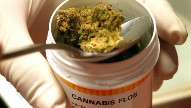 imagen Cannabis medicinal: "se logra disminuir a cero situaciones de psicoactividad"