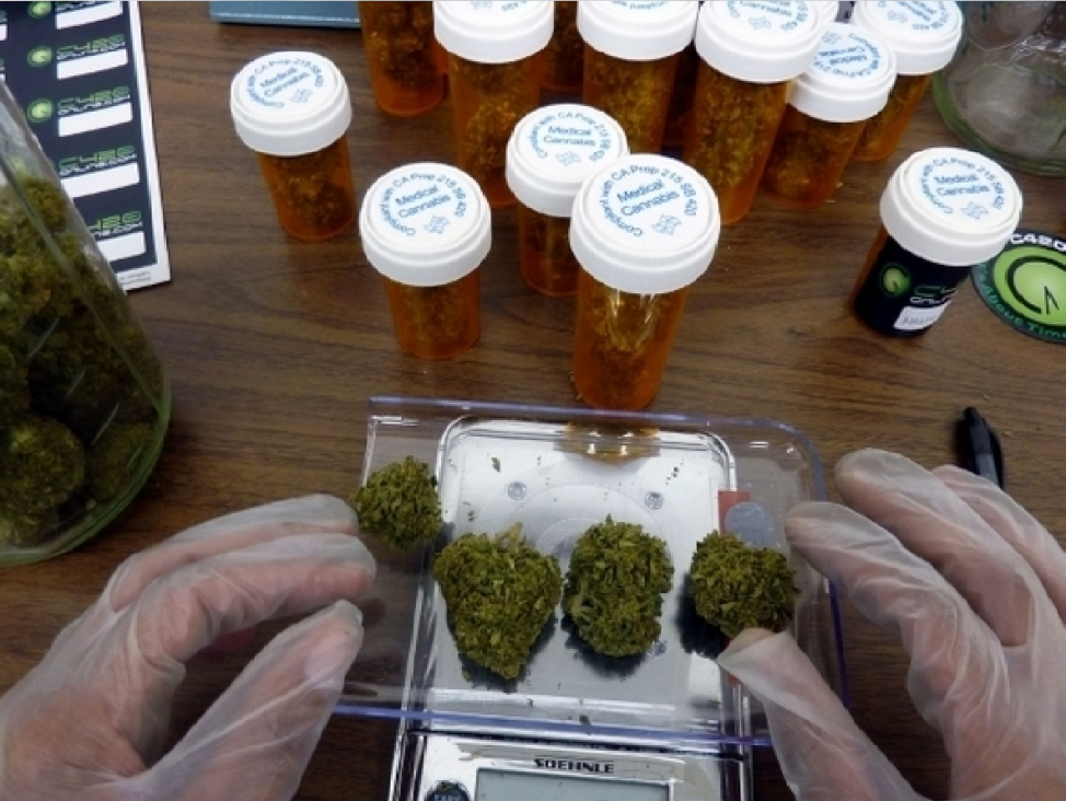 imagen Acción Canábica pide por la reglamentación del uso medicinal de la Marihuana 