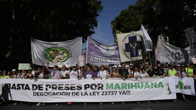 imagen Día Internacional de la Marihuana: cuál es el camino hacia la legalización del consumo