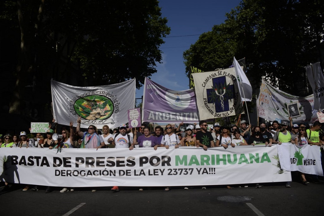 imagen Día Internacional de la Marihuana: cuál es el camino hacia la legalización del consumo
