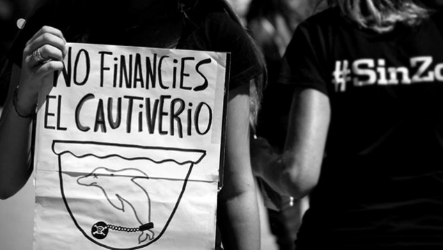 imagen Activistas de #SinZoo denunciaron a Mundo Marino 