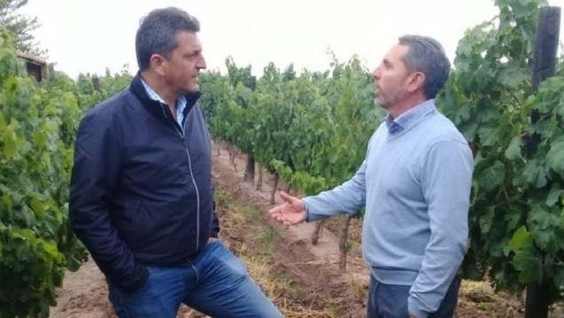 imagen Jorge Difonso: "Mendoza debe acompañar a la Nación reduciendo la tarifa eléctrica al sector agropecuario"