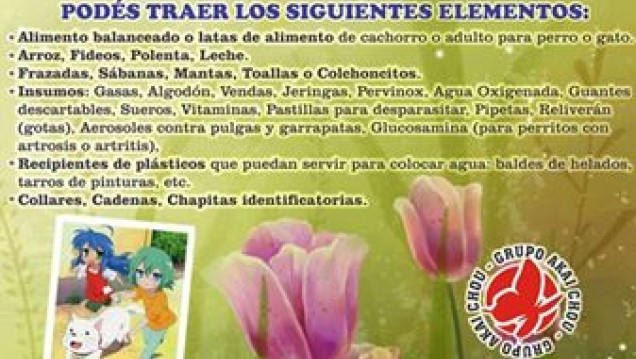 imagen 13 Edición de Mendotaku en Mendoza