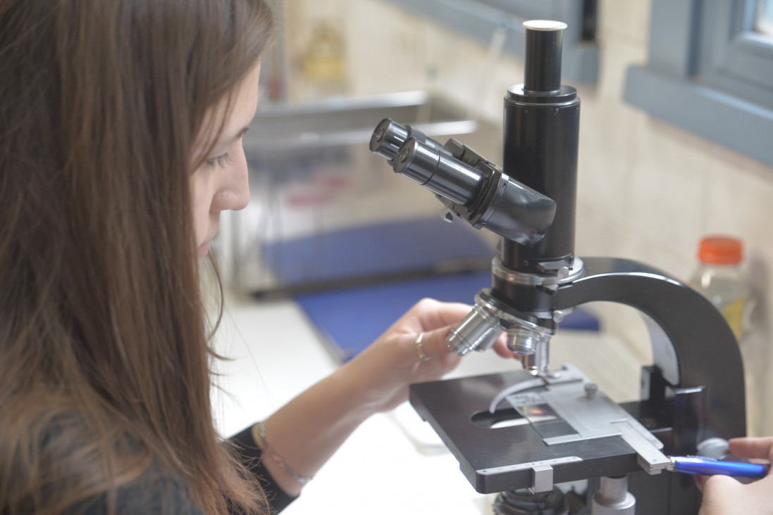 imagen Crece el rechazo por el recorte en el presupuesto de Ciencia y Técnica