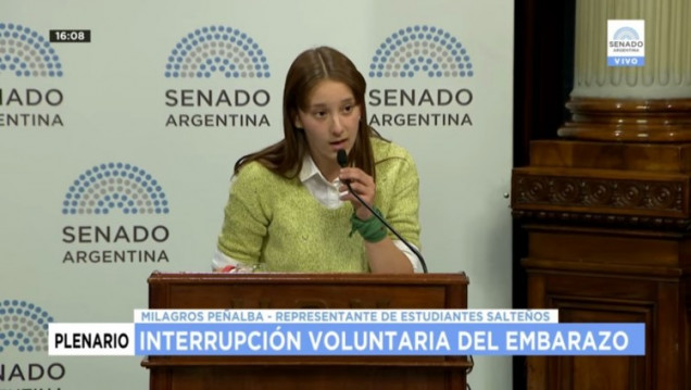 imagen Milagros Peñalba: "Muchas chicas son obligadas a gestar y maternar" 