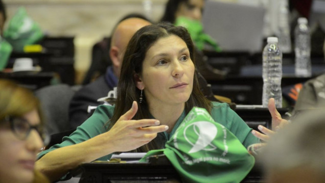 imagen Más poder a la policía: diputados opositores se abroquelan en contra del uso de armas 
