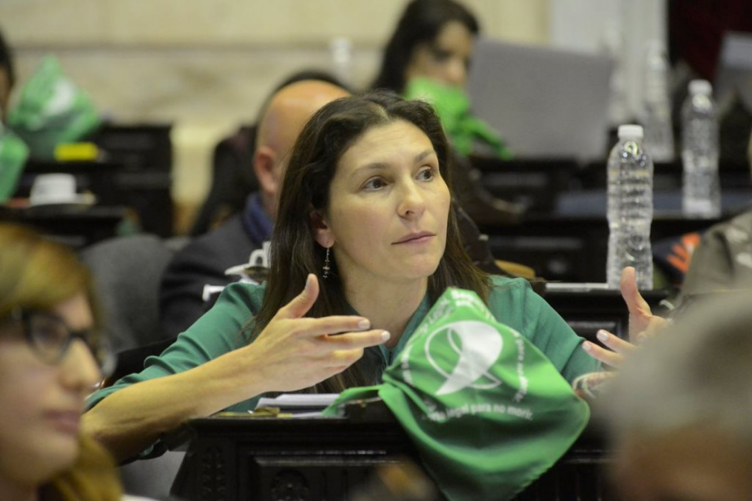 imagen Más poder a la policía: diputados opositores se abroquelan en contra del uso de armas 