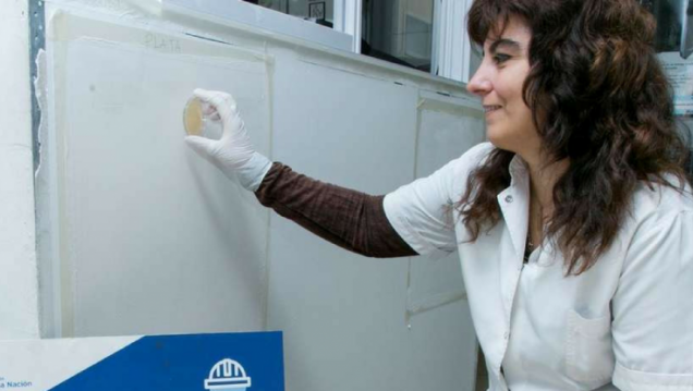 imagen Crean una pintura que evita el contagio de infecciones intrahospitalarias