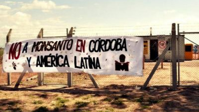 imagen La justicia frenó a Monsanto