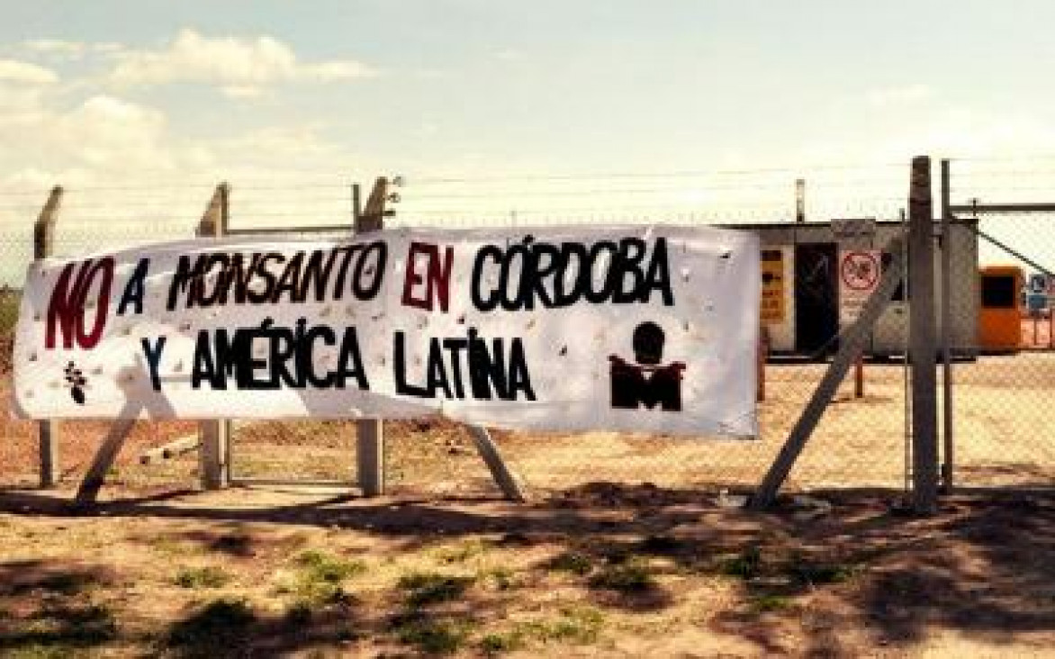 imagen La justicia frenó a Monsanto