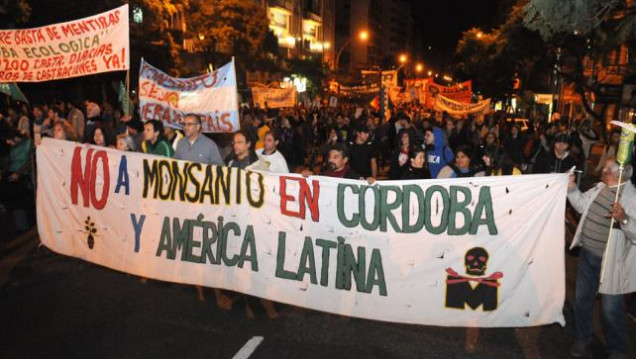 imagen La Secretaría de Ambiente de Córdoba rechazó el estudio de impacto ambiental presentado por la empresa Monsanto 