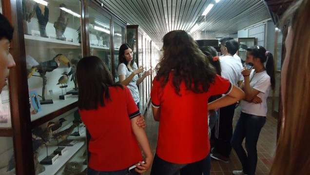 imagen Día Internacional de los Museos