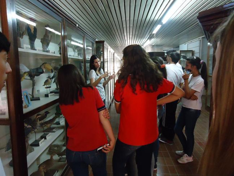imagen Día Internacional de los Museos
