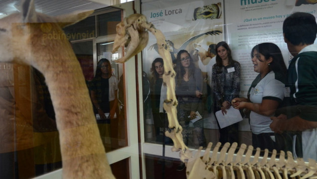 imagen Semana de los museos: talleres de ciencia y visitas guiadas