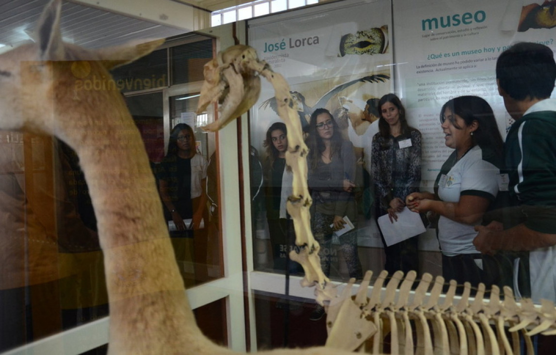 imagen Semana de los museos: talleres de ciencia y visitas guiadas