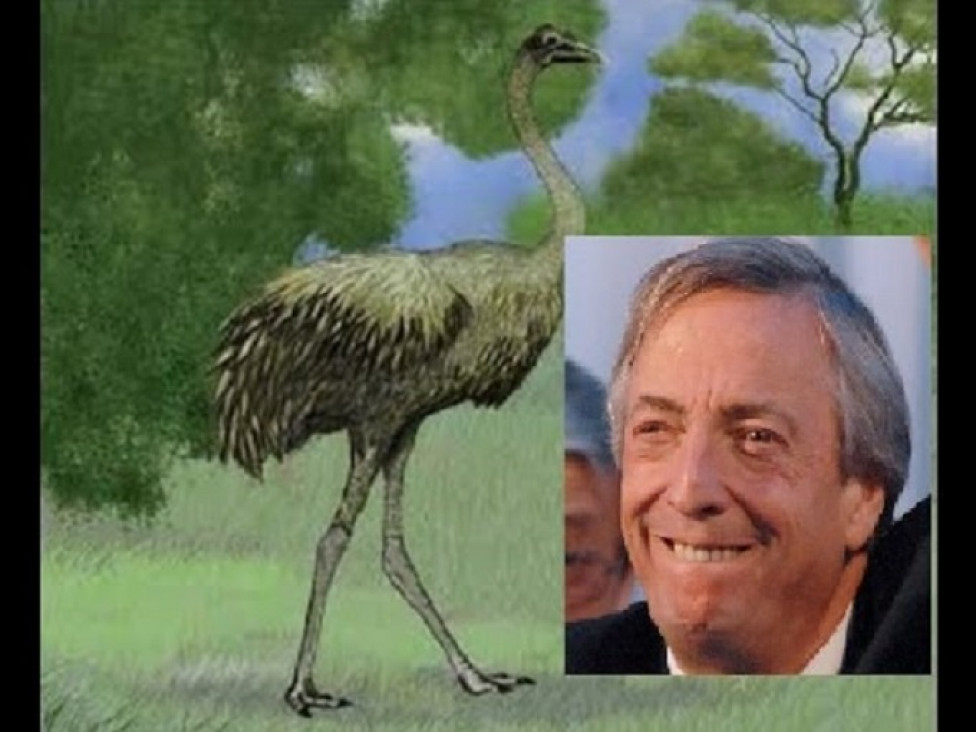 imagen Descubrieron un nuevo ñandú y le pusieron Kirchner como nombre