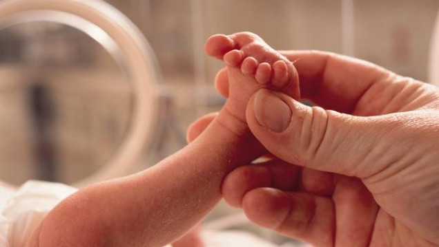 imagen Tejido solidario en beneficio de Neonatología del Lagomaggiore