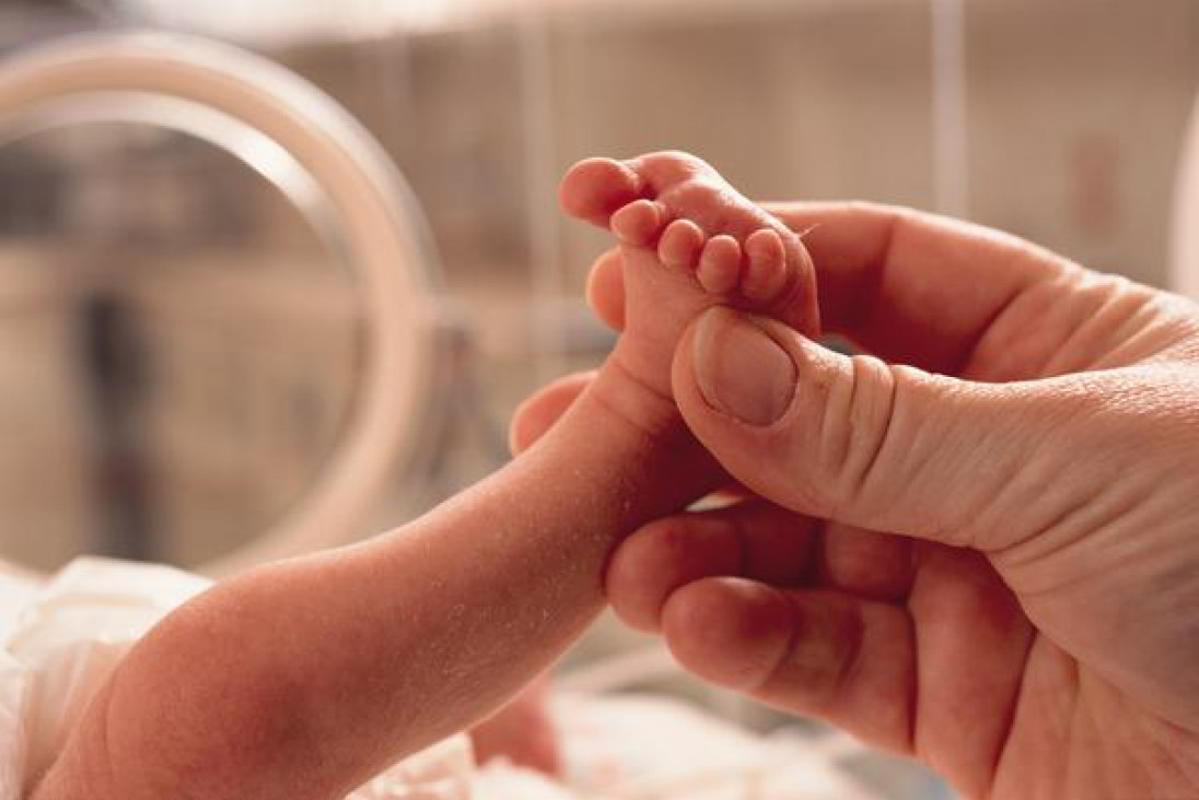 imagen Tejido solidario en beneficio de Neonatología del Lagomaggiore