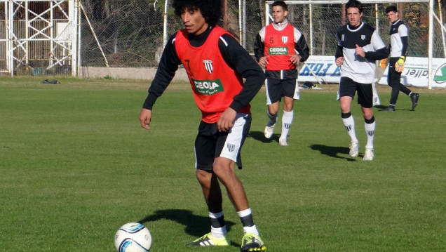 imagen Lobo que ladra...