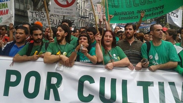 imagen Del Caño informó sobre el proyecto presentado por el FIT para legalizar la marihuana