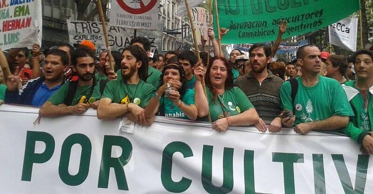imagen Del Caño informó sobre el proyecto presentado por el FIT para legalizar la marihuana