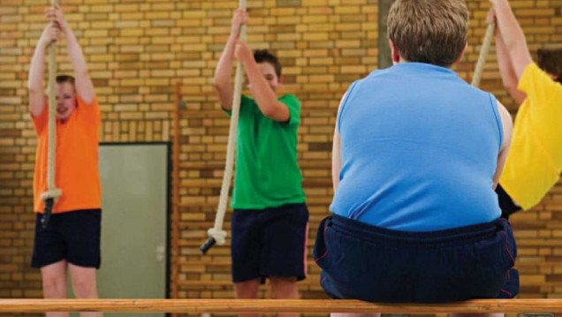 imagen Curso de Posgrado sobre Obesidad Infantil