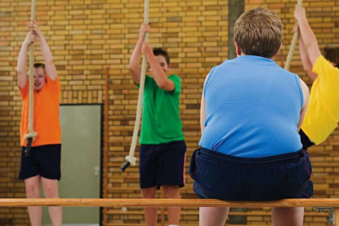 imagen Curso de Posgrado sobre Obesidad Infantil