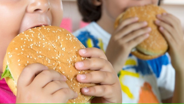 imagen Crecen los índices de obesidad en el país