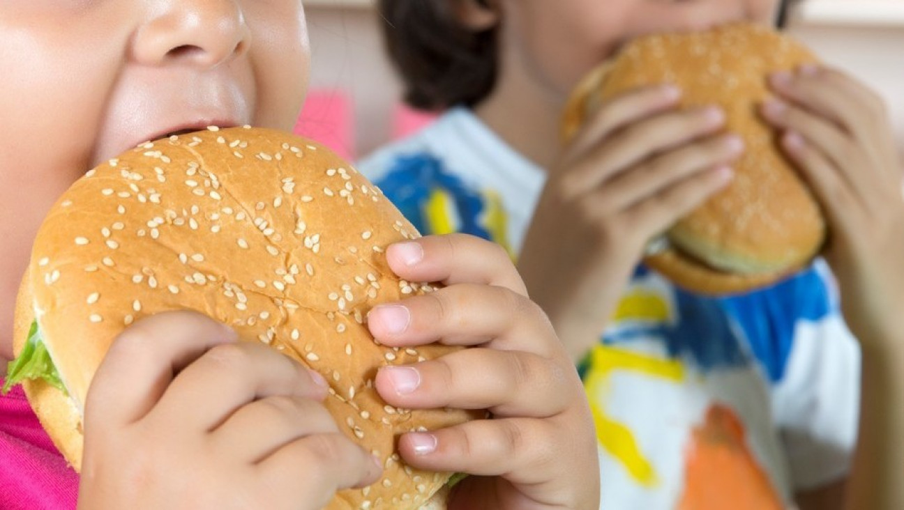 imagen Crecen los índices de obesidad en el país