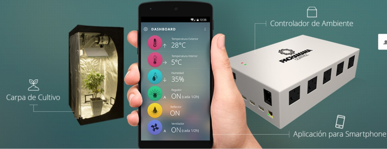 imagen Pachamama, una app para monitorear el cultivo de plantas indoor