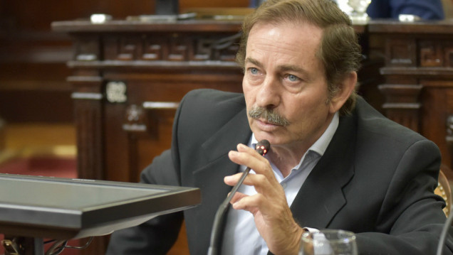 imagen Niven explicó por qué el PD decidió rechazar la ampliación de la Corte 