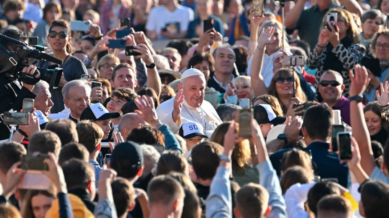 imagen Lanzaron la primera papa transgénica