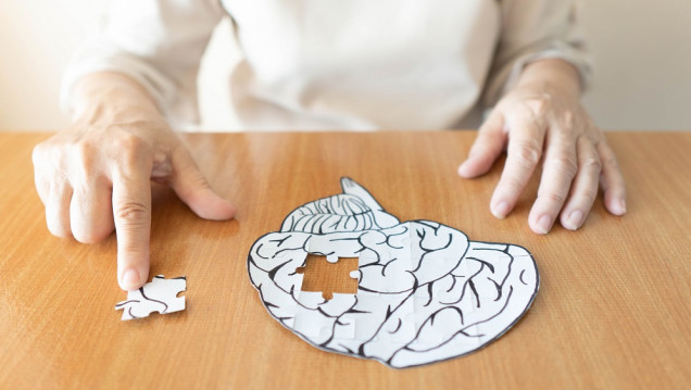 imagen Parkinson: claves para prevenir la enfermedad desde el entorno familiar 