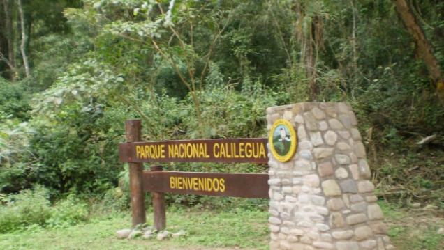 imagen Chau a la explotación en el Parque Calilegua
