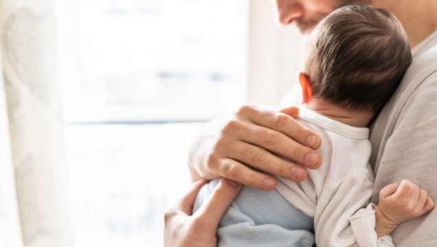 imagen Licencias por paternidad: "Reproducen un modelo tradicional de familia que ya no está vigente"