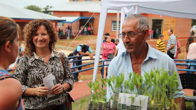 imagen Plantines de crotalaria para combatir al Aedes Aegypti en Misiones