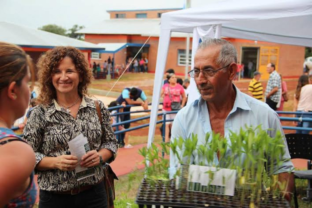 imagen Plantines de crotalaria para combatir al Aedes Aegypti en Misiones