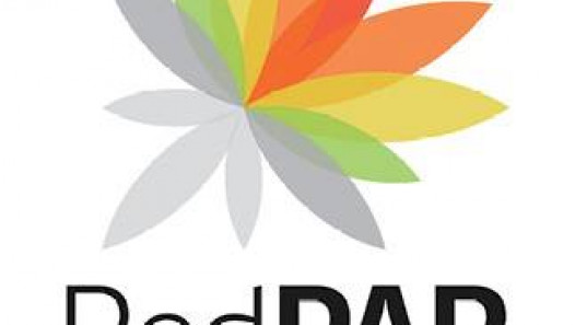 imagen Balance de Red PAR 2015