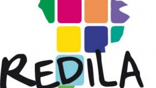 imagen REDILA Nº 11 