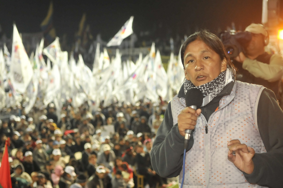 imagen Nasif: "La consulta popular contrarrestaría las opiniones externas"