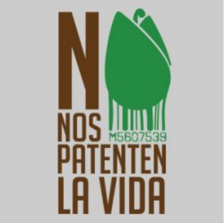 imagen Denuncian ofensiva de las Corporaciones para privatizar las semillas