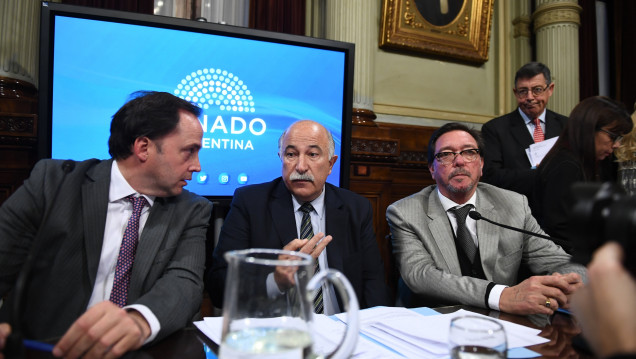 imagen Aborto legal: una periodista denunció censura para ingresar en el Senado