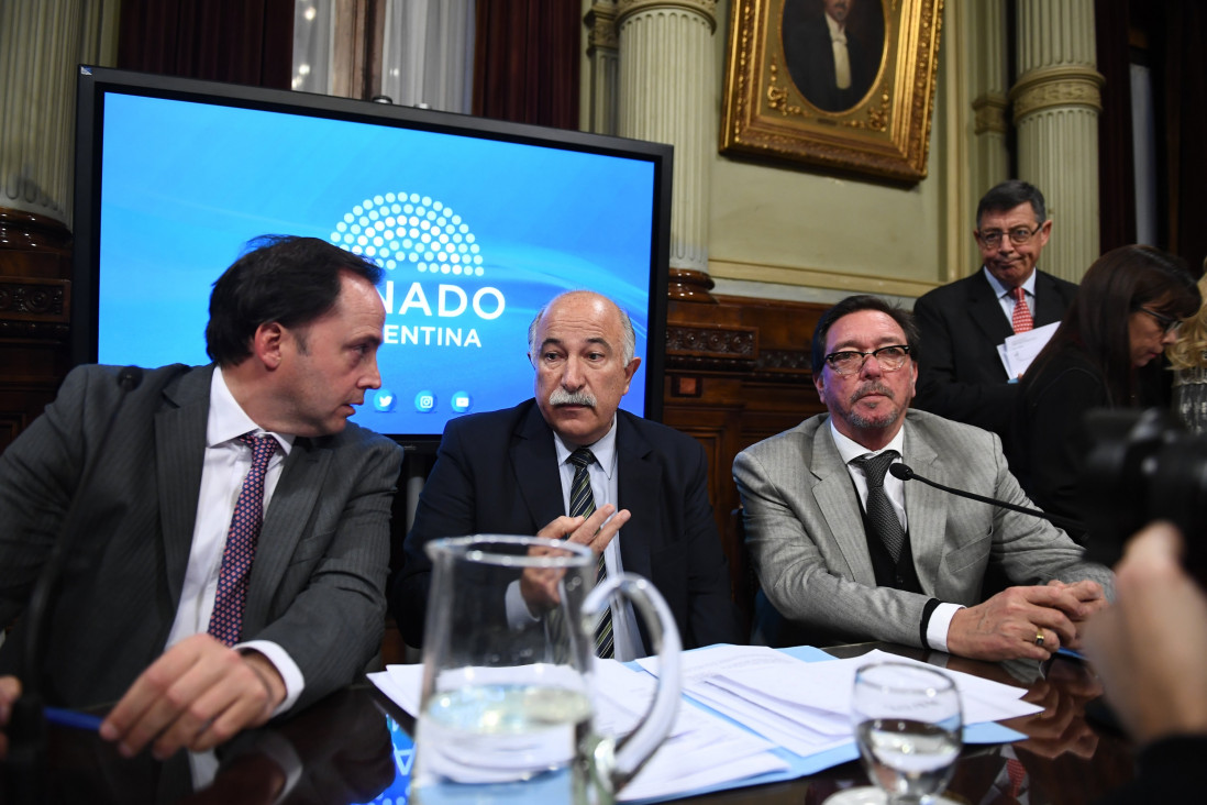 imagen Aborto legal: una periodista denunció censura para ingresar en el Senado